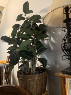 Artificial Plant And Woven Basket