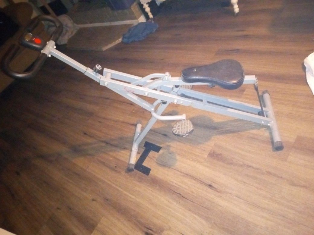 Sunny Fitness Row N Ride