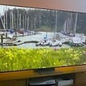 New 65" TV from LG - 4K Television