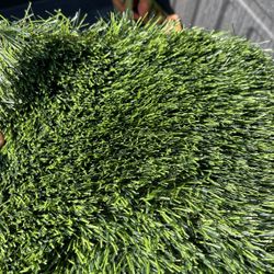 Synthetic Turf