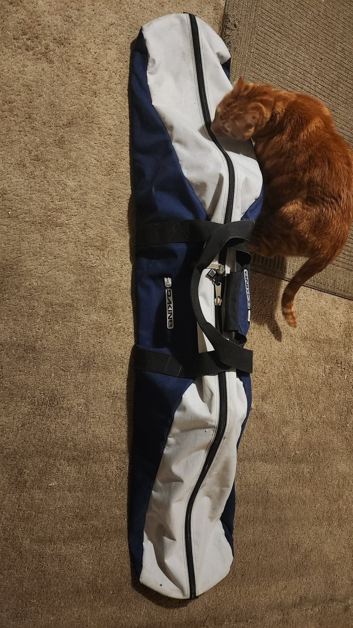 5ft Snowboard, Bag, Bindings & Waking Kit