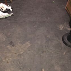 Wrestling Mat Almost The Size Of A Garage 