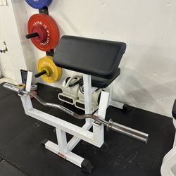 Preacher Curl Bench