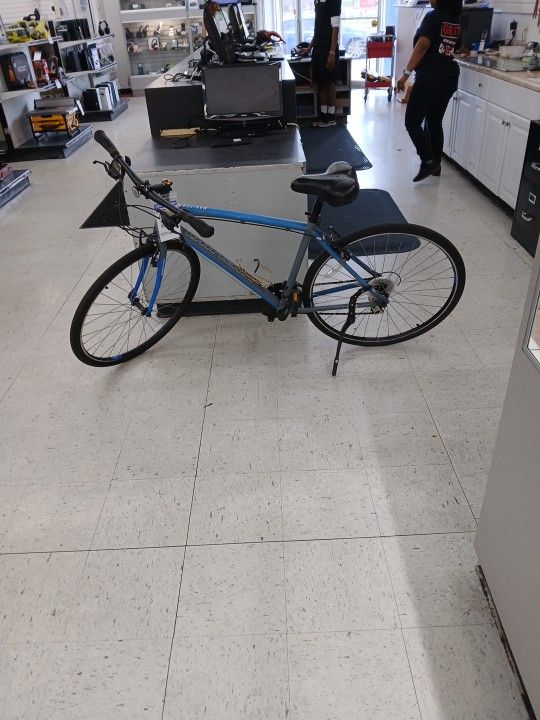 Nishika Bicycle