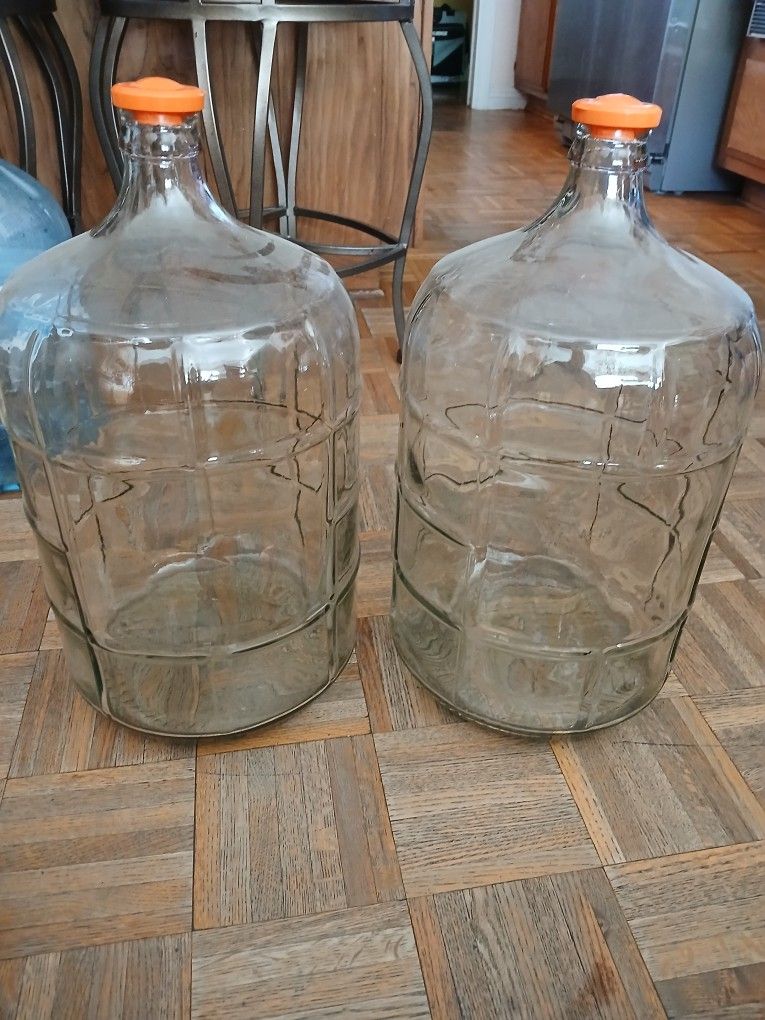 2 Glass Carboy Jugs
