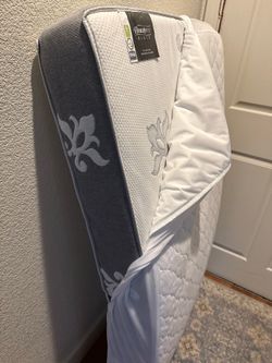 Crib Mattress Beautyrest