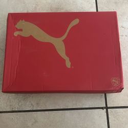 Puma Shoes 