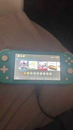 Nintendo switch lite