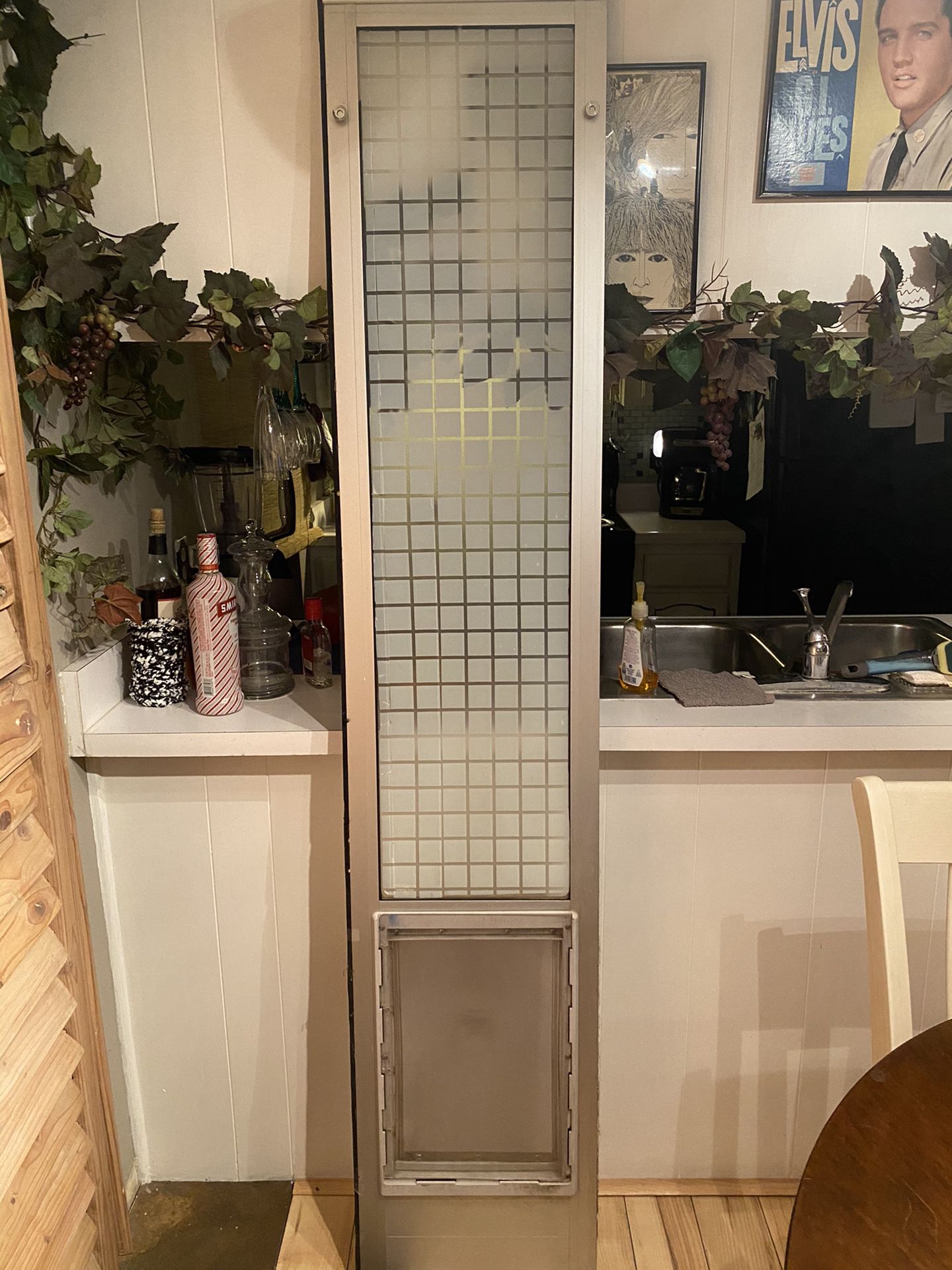 Large pet door with privacy film on glass