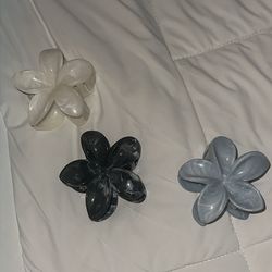 Hair clips
