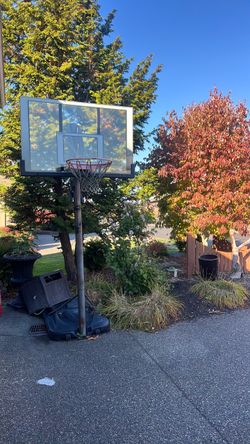 Basketball hoop