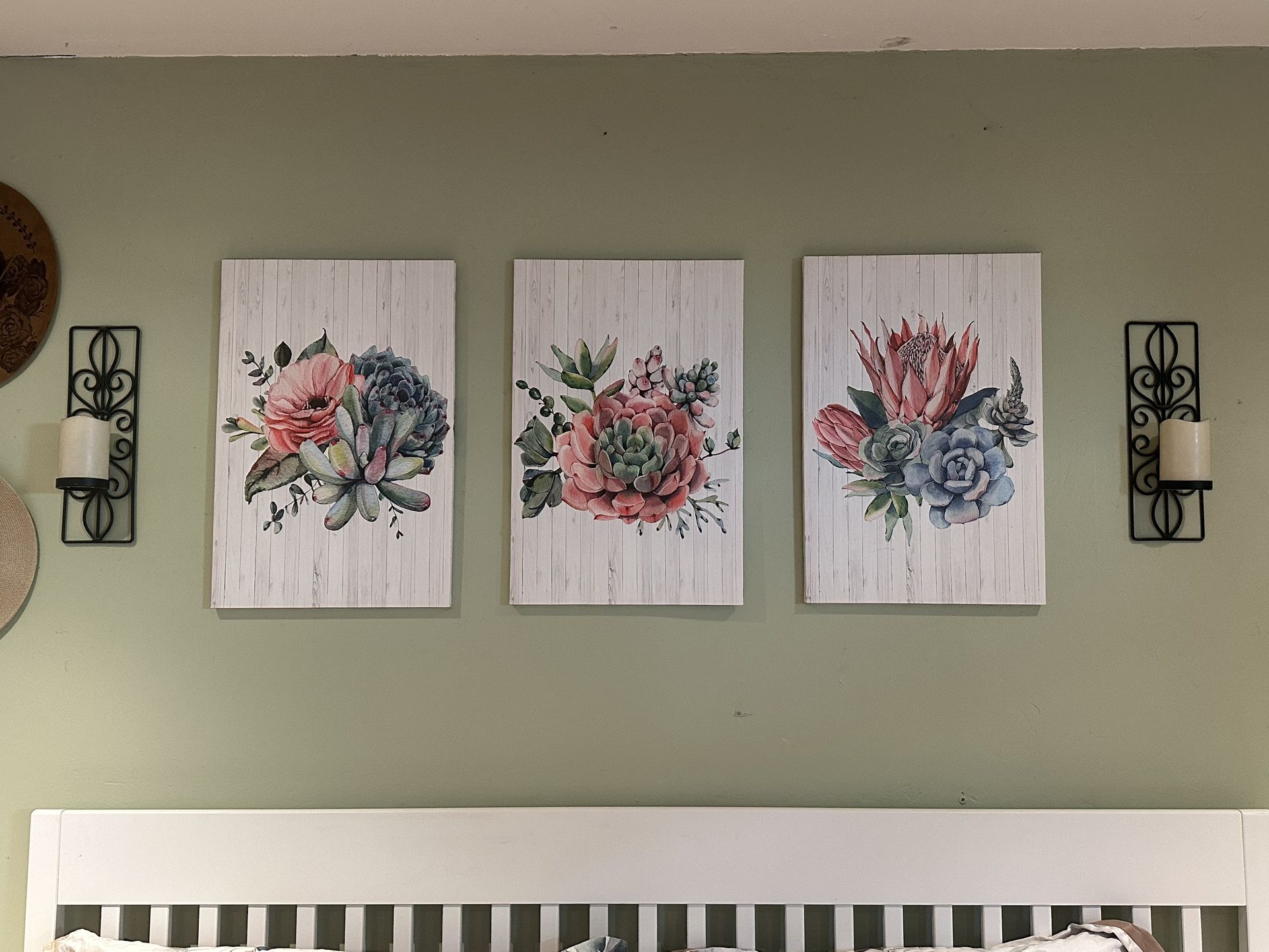 Succulent Wall Art