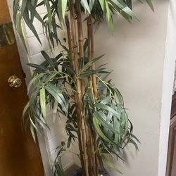 Fake Plant 