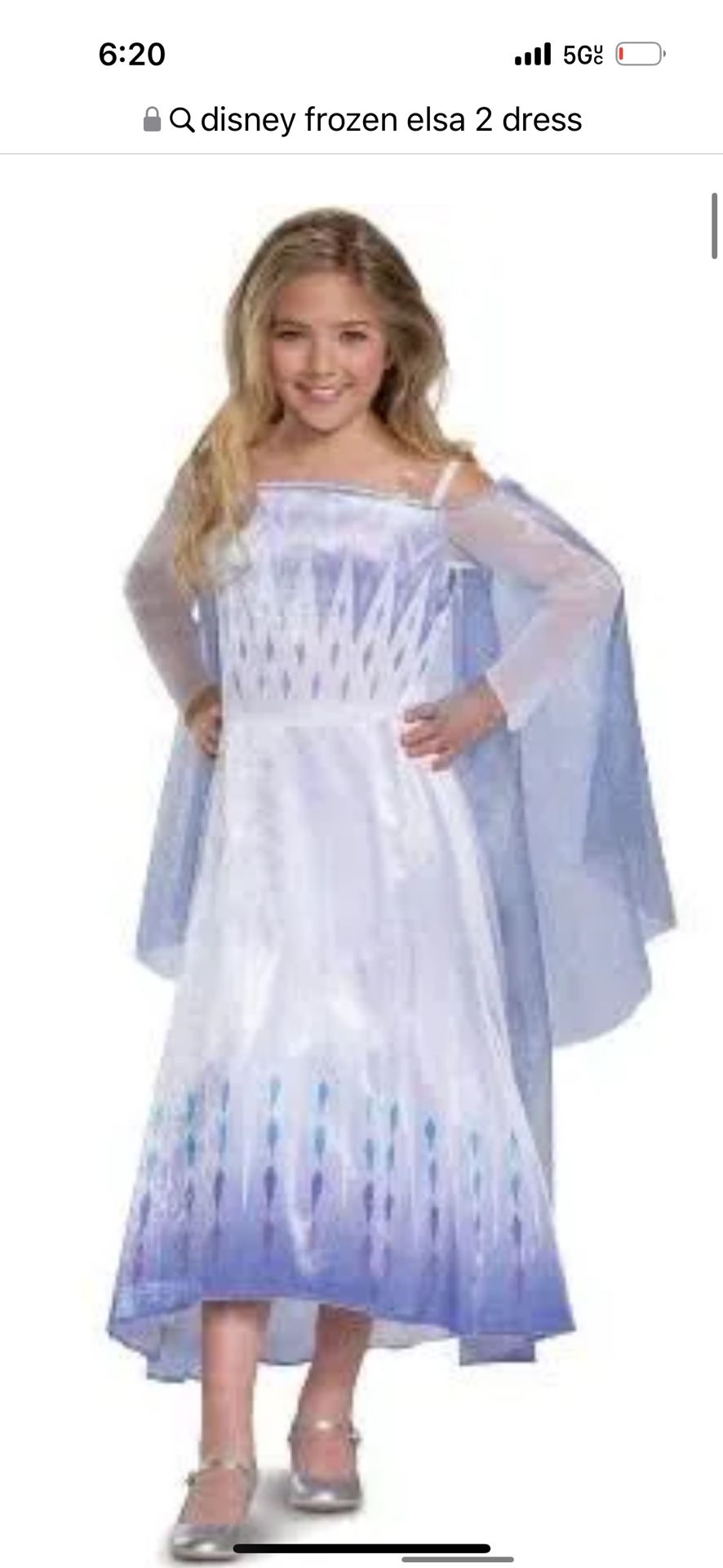 Disney Princess Costumes