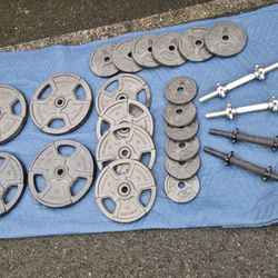 Standard Weider 1" Plates With 4 Adjustable Handles 188lbs