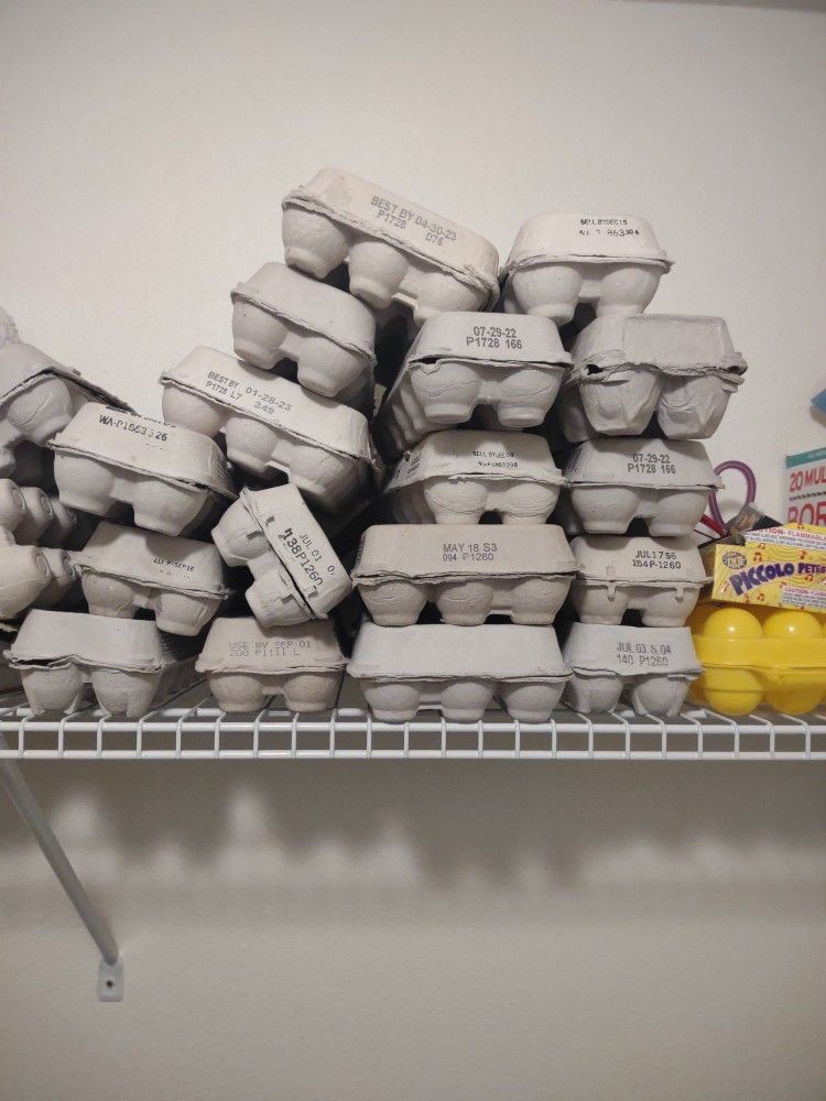 Egg Cartons