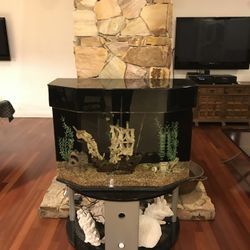 Plexiglas Fish Tank