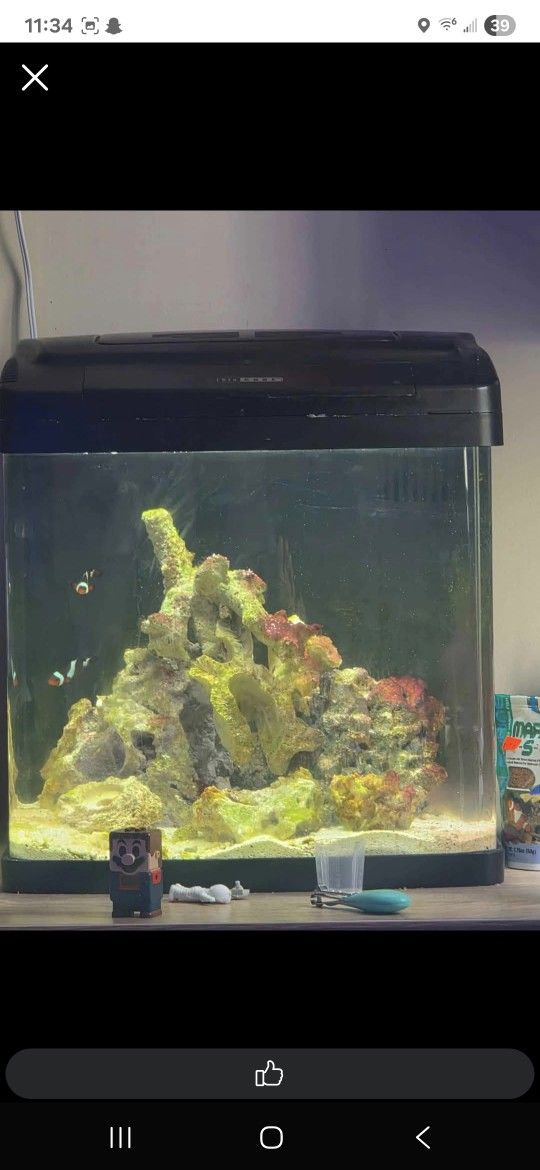 Biocube Saltwater Fish Tank