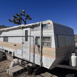 Vintage 1976 Terry Travel Trailer