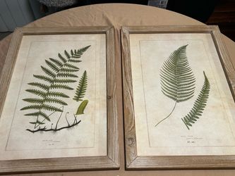 Botanical Fern Print Pair in Wood Frames