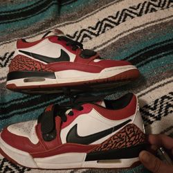 Air Jordon  With elephant print