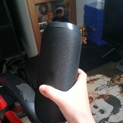 Black Speker And It Is Loud 