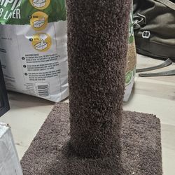 Small Cat Scratcher Post