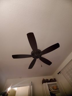 Ceiling Fan With Delivery 