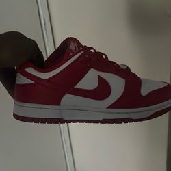 Nike dunks (women) size 8.5