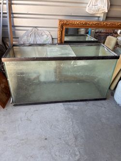 Large Glass Aquarium Fish Tank
