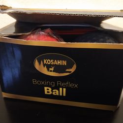 Kosahin's Boxing Reflex Ball