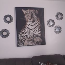 Animal Picture 