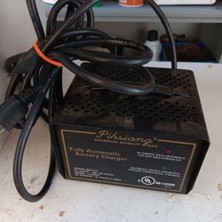 Electric Scooter Chargers 