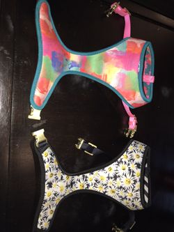 Dog Harnesses (reversible) Plus Cute Shirt
