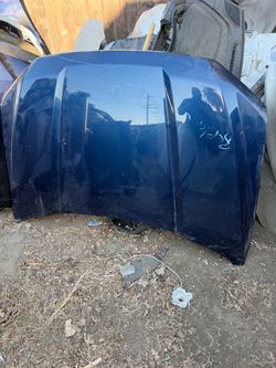 2018 Hood ford f150