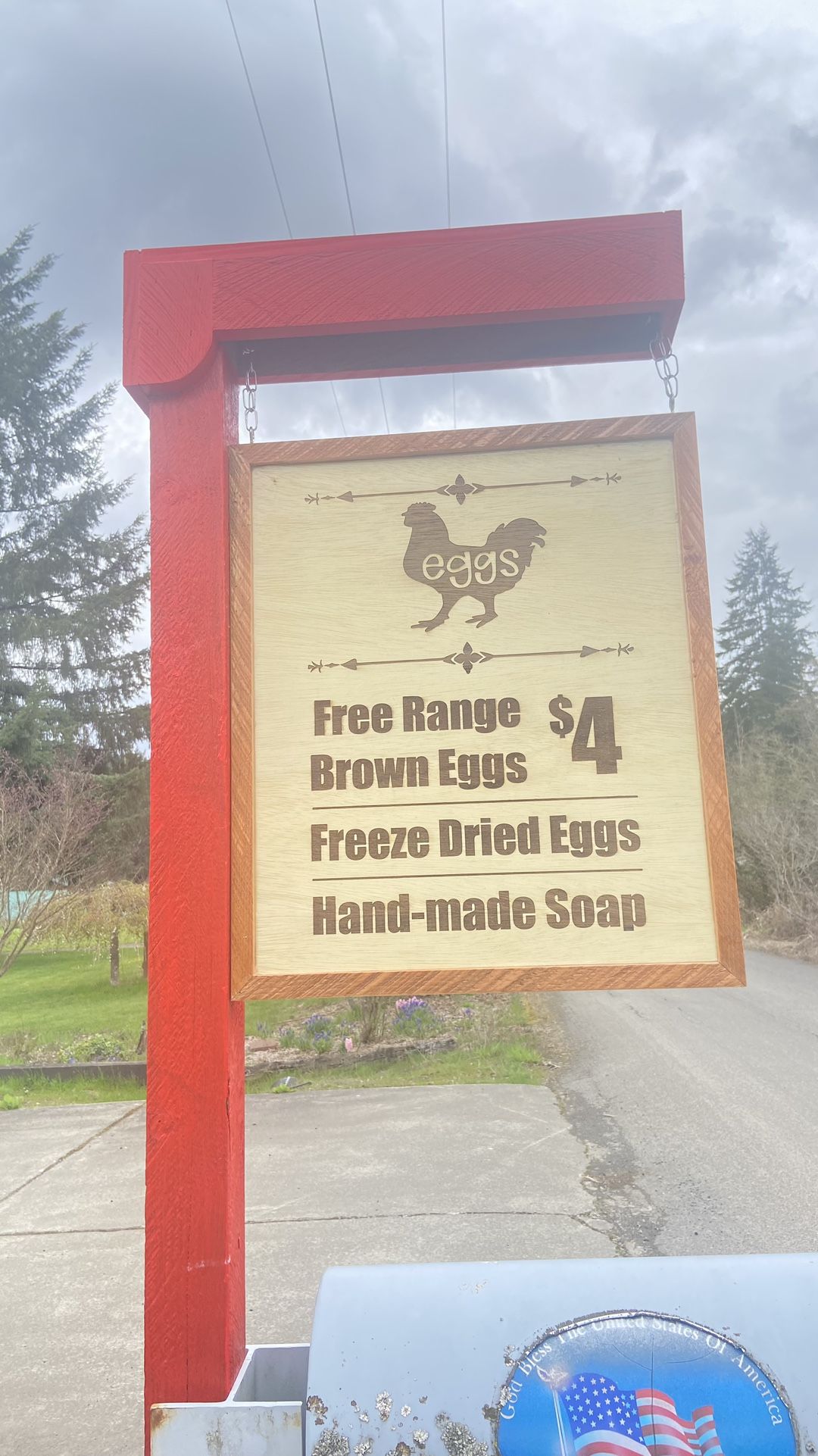 Freeze Dried Brown Chicken Eggs