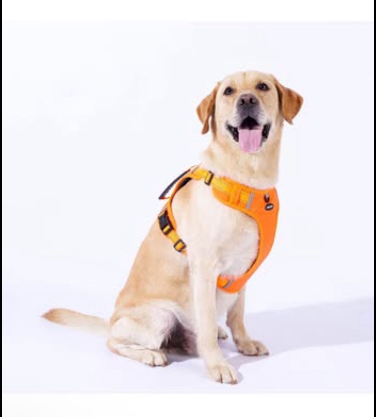 Breathable mesh Dog Harness No Pull and Leash Set Adjustable Pet Harness (Size XL)
