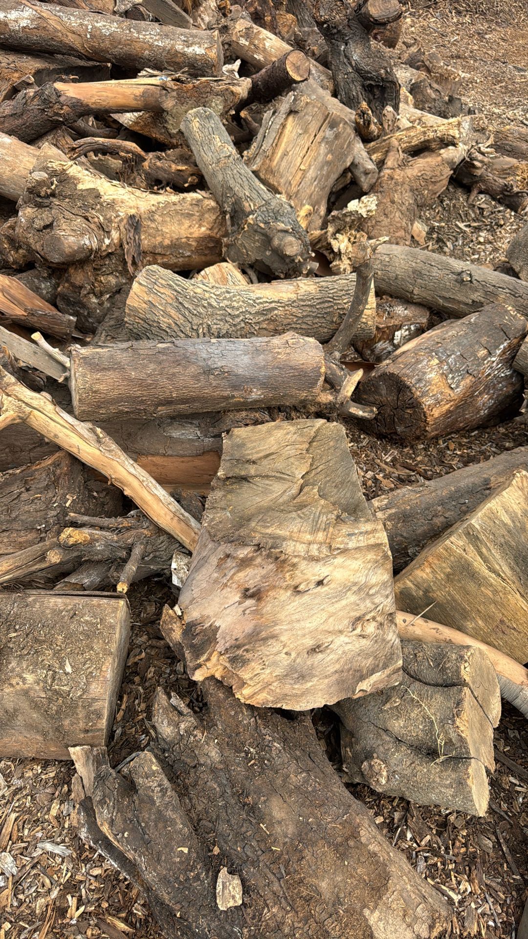 Firewood