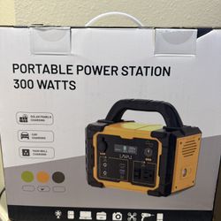 300 Watt Power Generator 