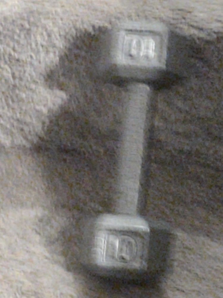10 Lb Metal Dumbbell Weight