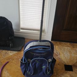 Kids Rolling Bag