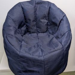 Big Joe Bean Bag Chair
