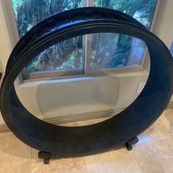 Cat Exercise Wheel
