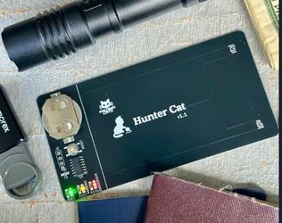 Hunter cat