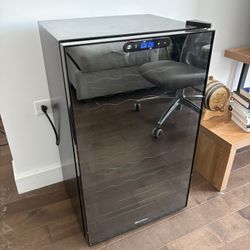 Large Wine Fridge 