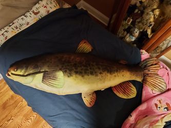 Large Fish