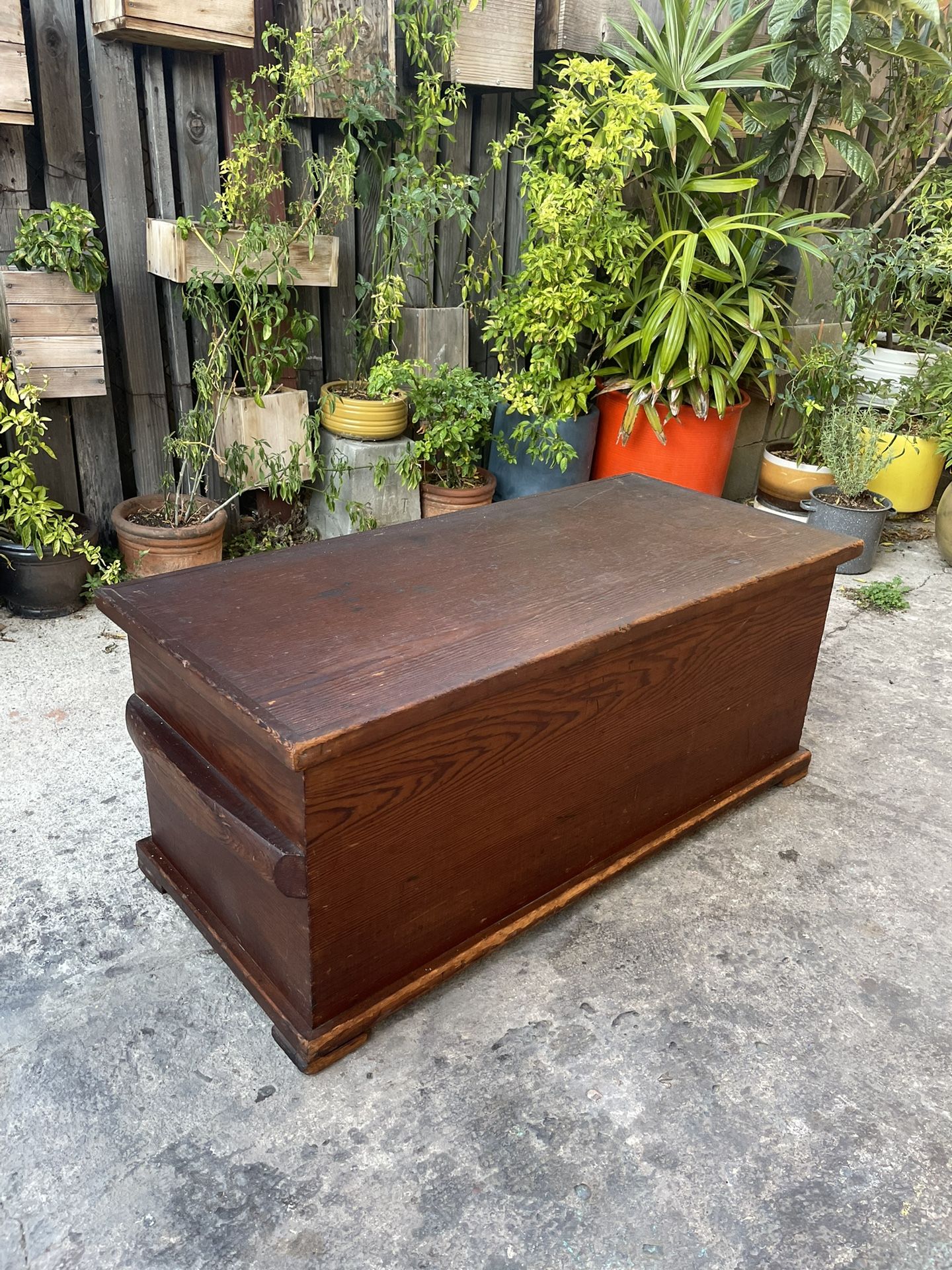 Vintage Mid Century Farmhouse Rustic Solid Pine Trunk 1950’s