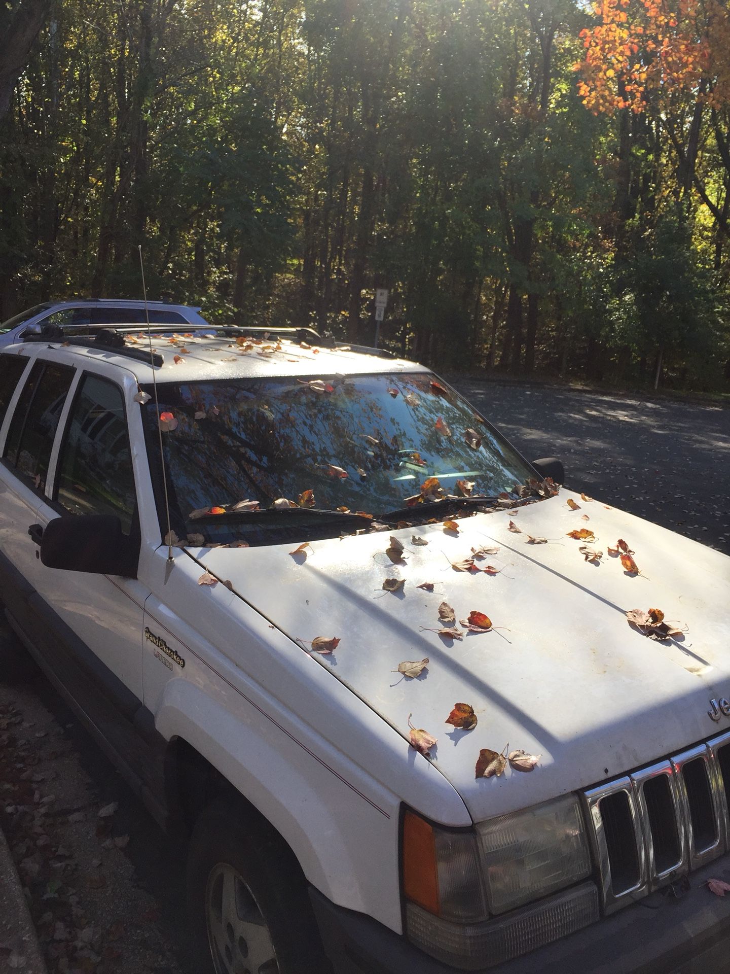 Jeep Grand Cherokee 1994