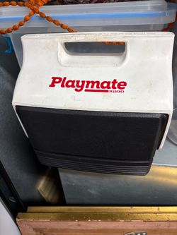 Igloo Playmate