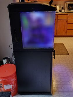 Biocube 32 gal Saltwater Aquarium incl. various accessories

